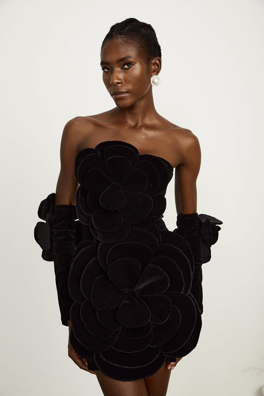 Zyra floral-appliqué mini dress in Black