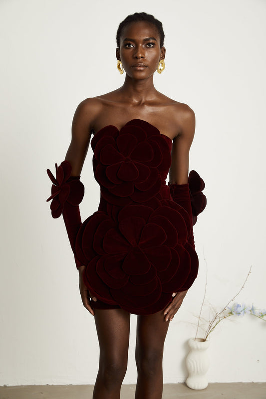 Zyra Red Floral Appliqué Mini Dress