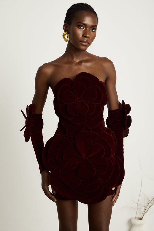 Zyra Red Floral Appliqué Mini Dress