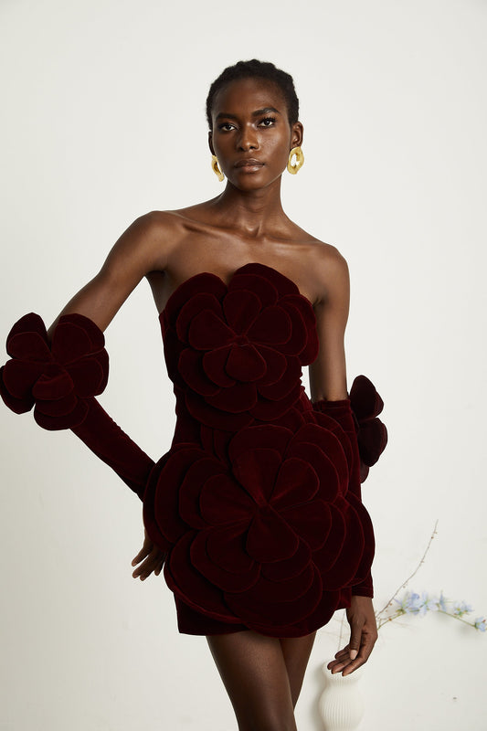 Zyra Red Floral Appliqué Mini Dress